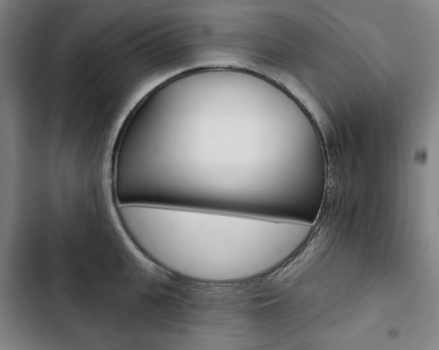 X0000103320951200809050956