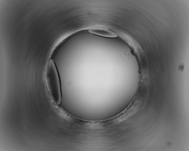 X0000103320952200809050956