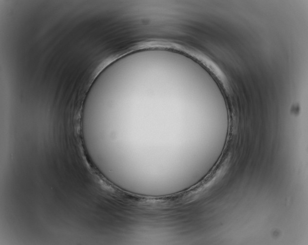 X0000103320953200809050956