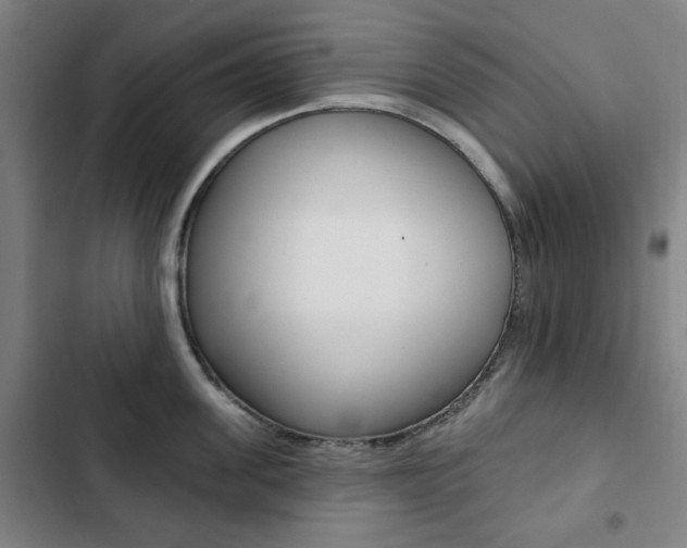X0000103320955200809050956