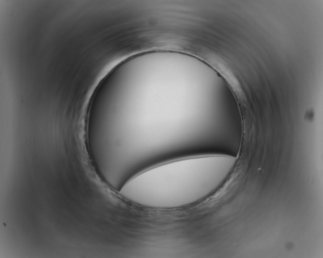 X0000103320956200809050956