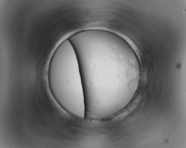 X0000103320957200809050956