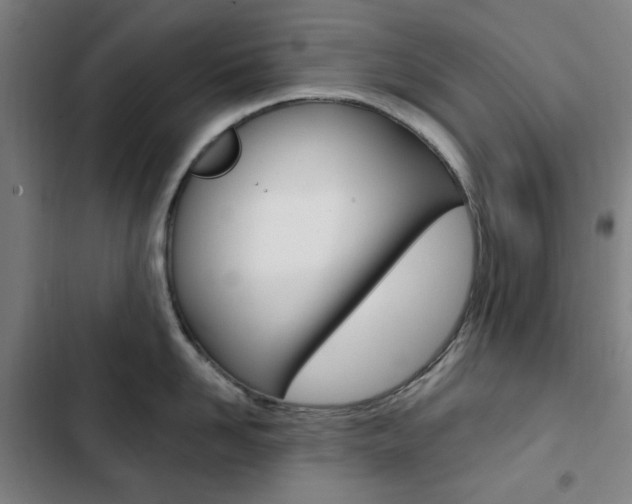X0000103320958200809050956