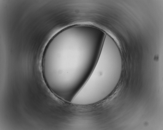 X0000103320959200809050956