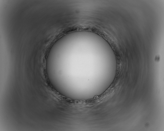 X0000103320961200809050956