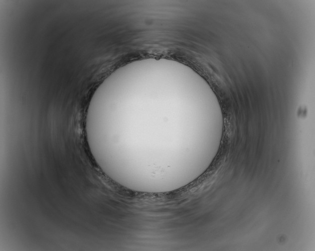 X0000103320962200809050956