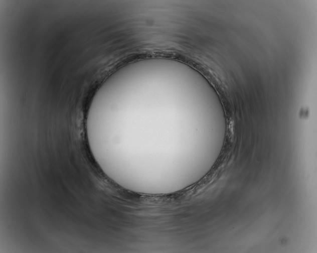 X0000103320963200809050956