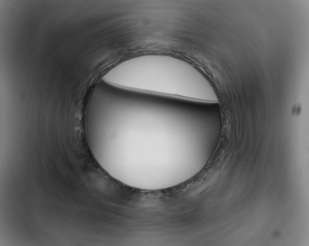 X0000103320964200809050956