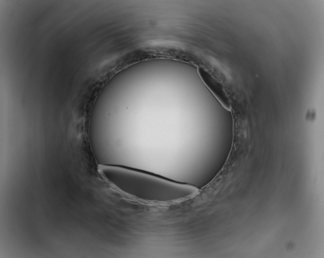 X0000103320965200809050956