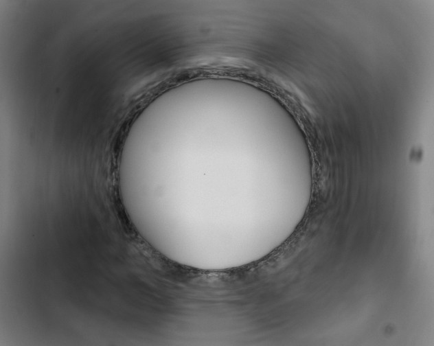 X0000103320966200809050956