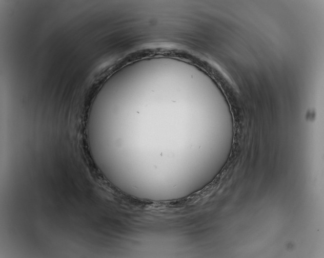 X0000103320967200809050956