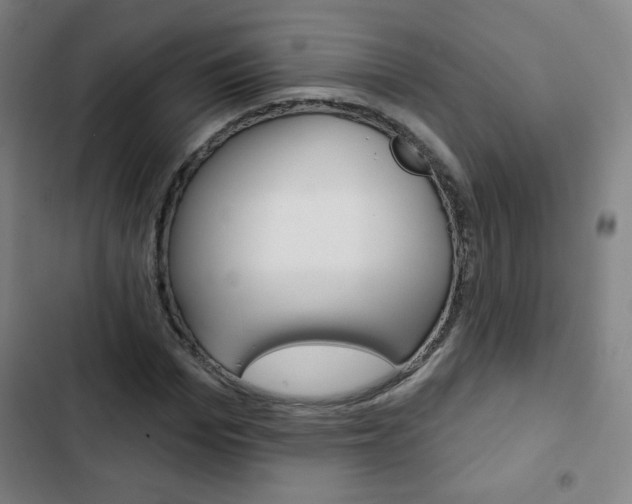 X0000103320969200809050956