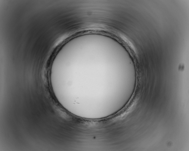 X0000103320970200809050956