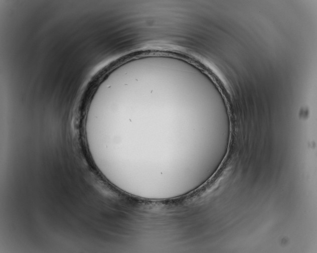 X0000103320971200809050955