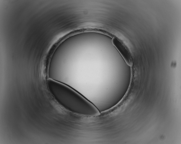 X0000103320973200809050955