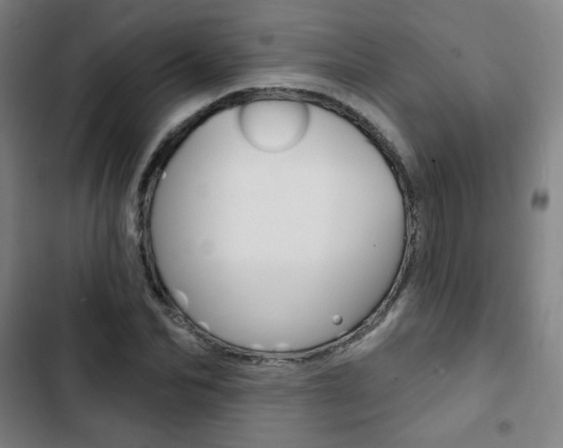X0000103320974200809050955