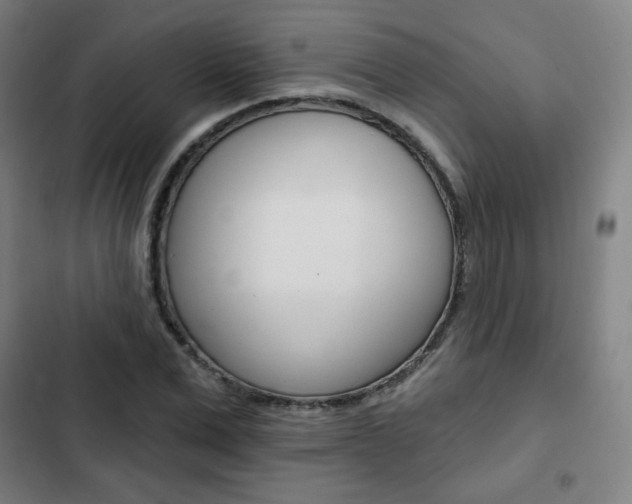 X0000103320975200809050955