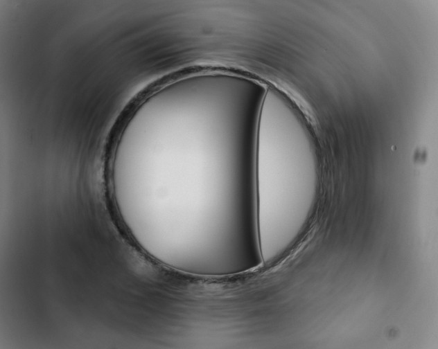 X0000103320976200809050955