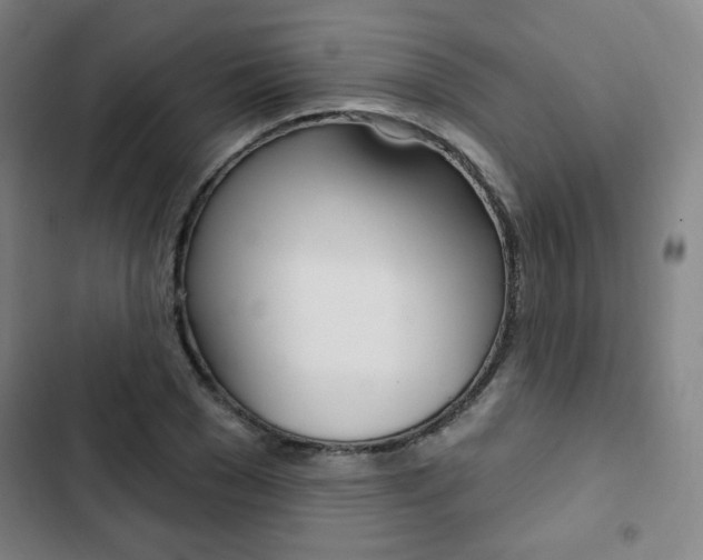 X0000103320977200809050955