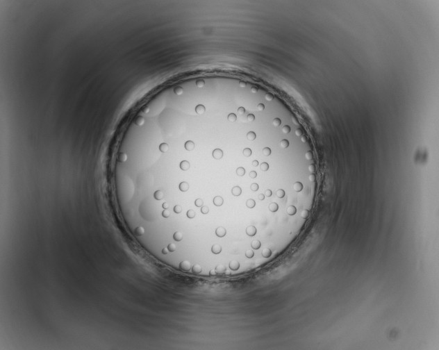 X0000103320978200809050955