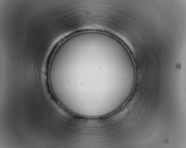X0000103320979200809050955