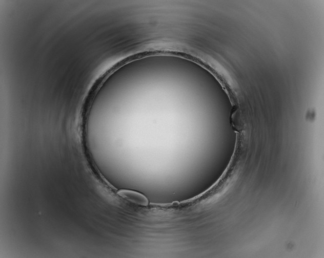 X0000103320981200809050955