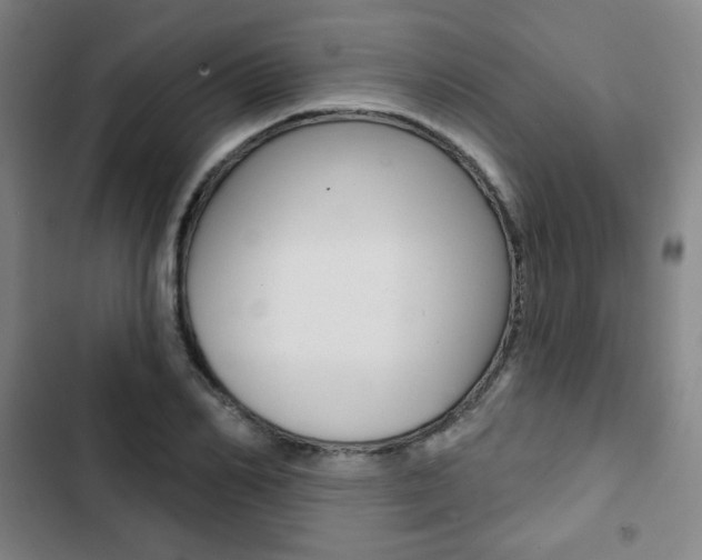 X0000103320982200809050955