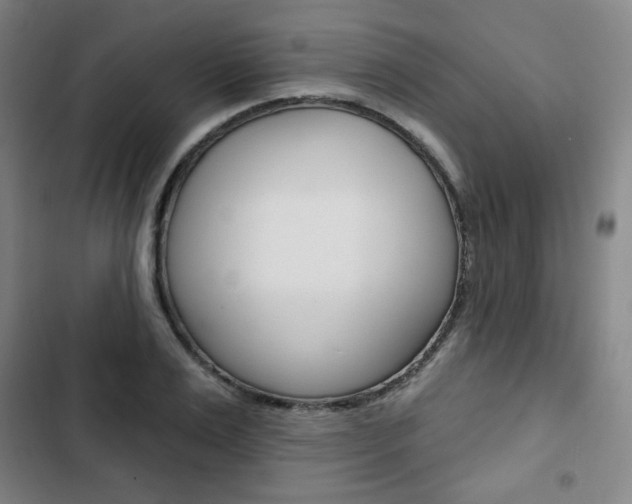 X0000103320983200809050955