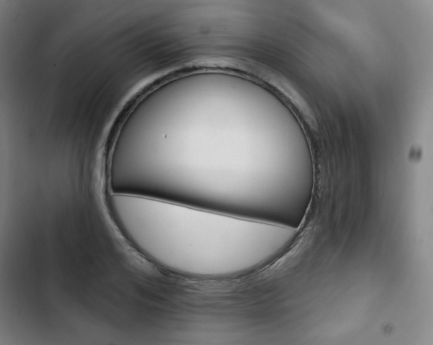 X0000103320984200809050955