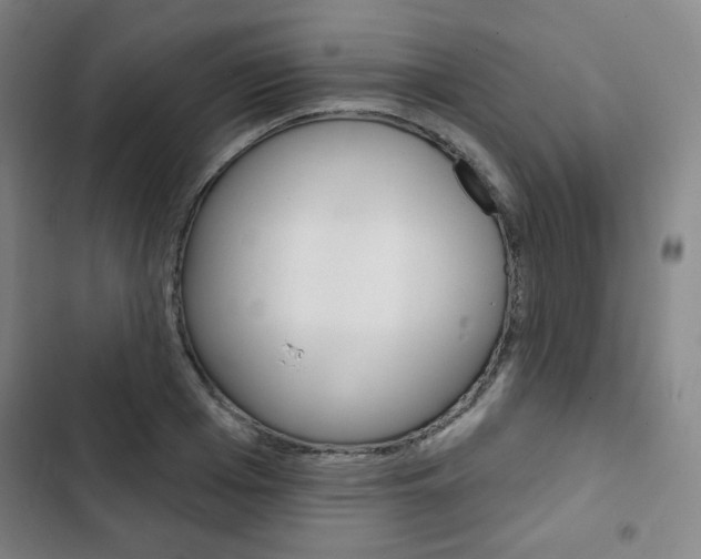 X0000103320985200809050955
