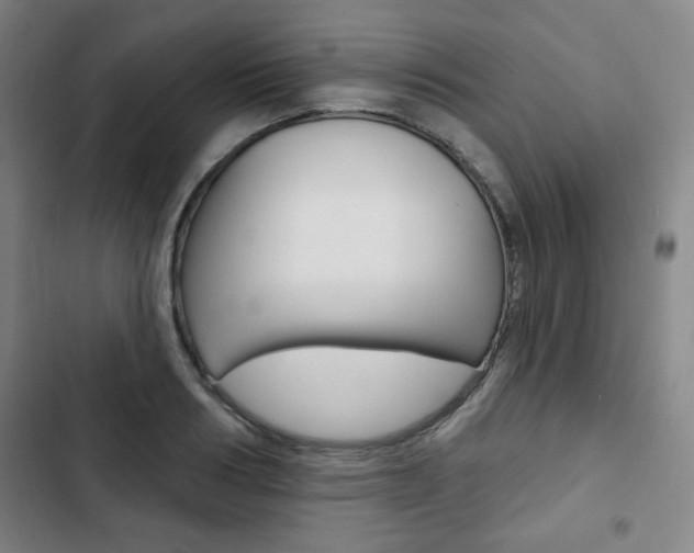 X0000103320986200809050955