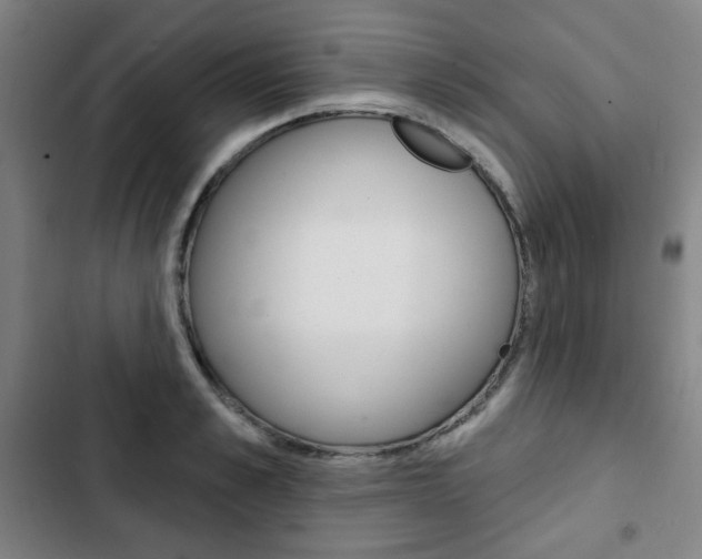 X0000103320989200809050955