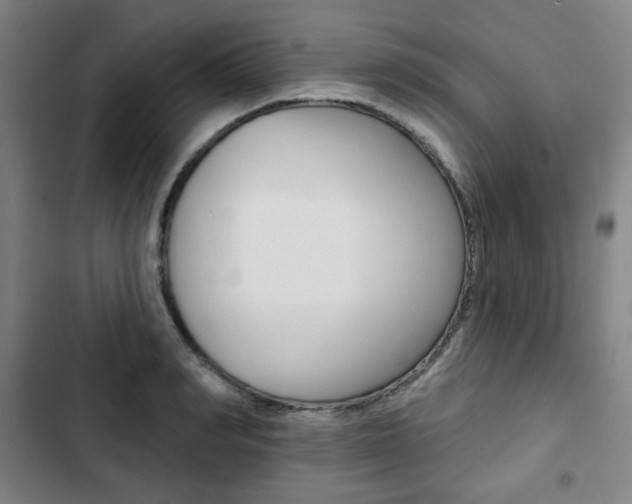 X0000103320990200809050955