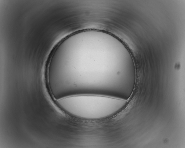 X0000103320991200809050955