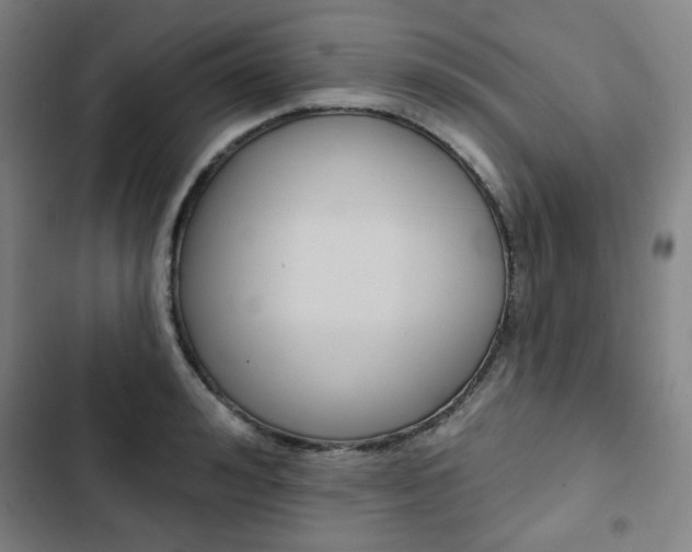 X0000103320992200809050955