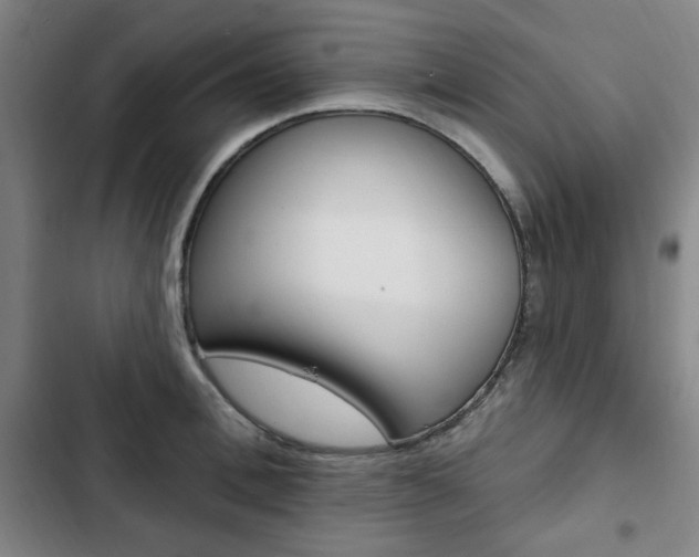 X0000103320996200809050955