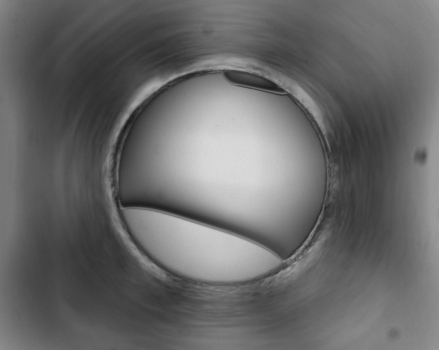 X0000103320997200809050955
