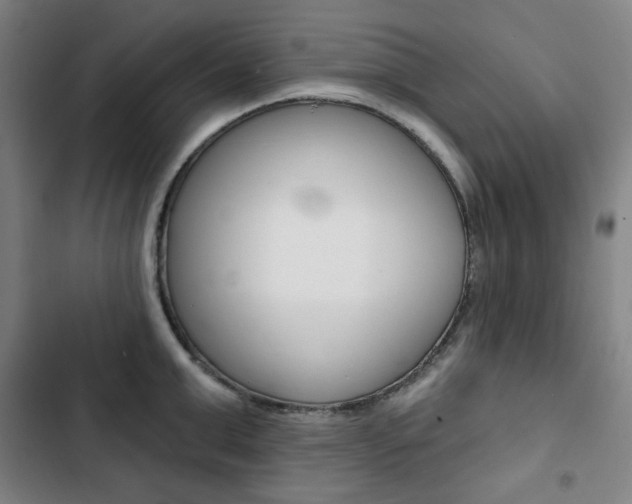 X0000103320999200809050955