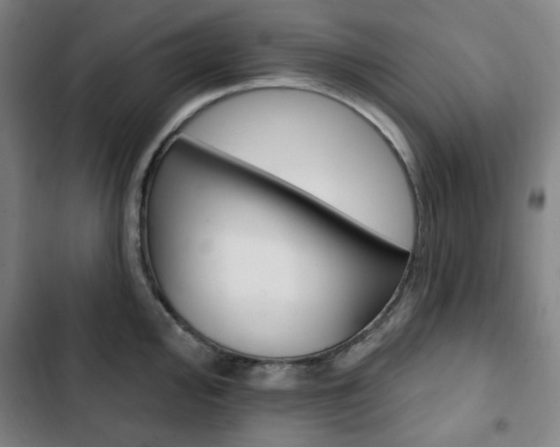 X0000103321000200809050955