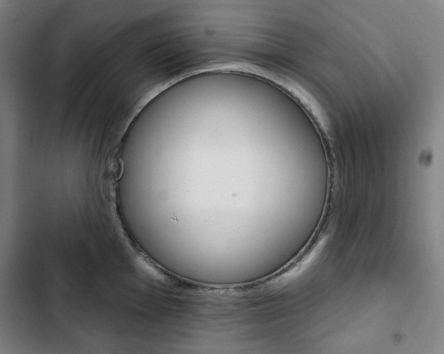 X0000103321001200809050955