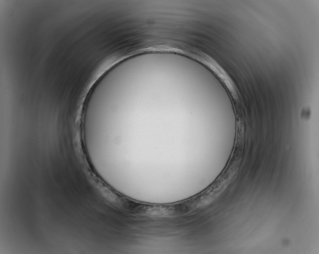 X0000103321002200809050955