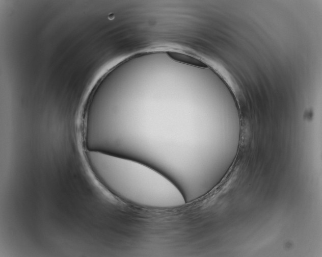 X0000103321003200809050955