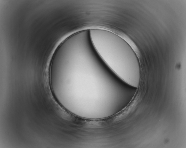 X0000103321004200809050955