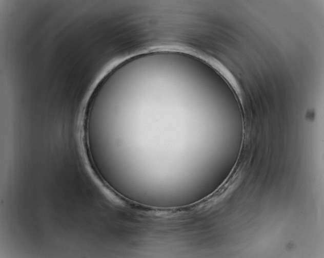 X0000103321005200809050955