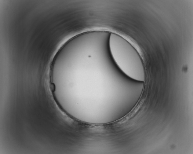 X0000103321006200809050955