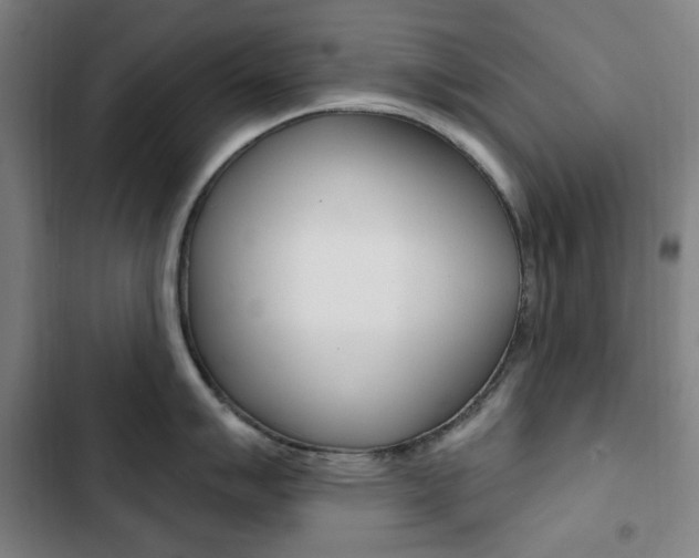 X0000103321007200809050955