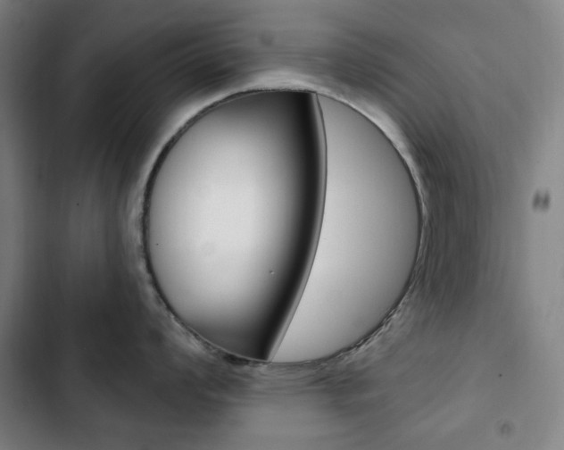 X0000103321008200809050955