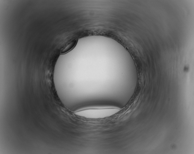 X0000103321010200809050954