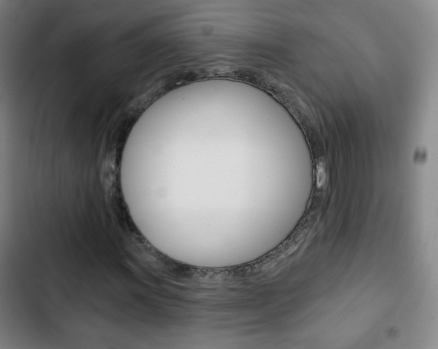 X0000103321011200809050954