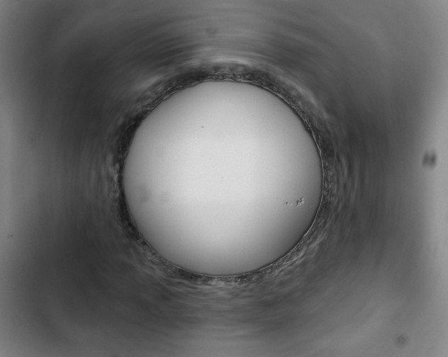 X0000103321013200809050954